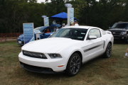 Mustang